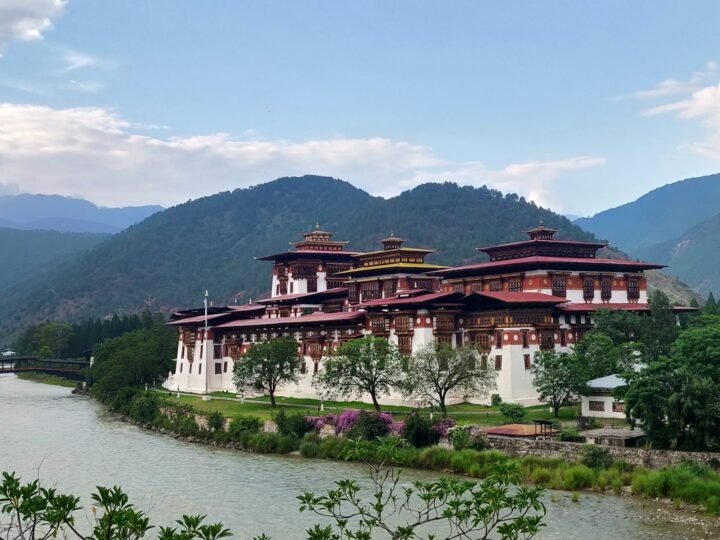 Punakha Drubchen & Tshechu