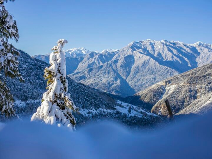 Jomolhari Base Camp Trek