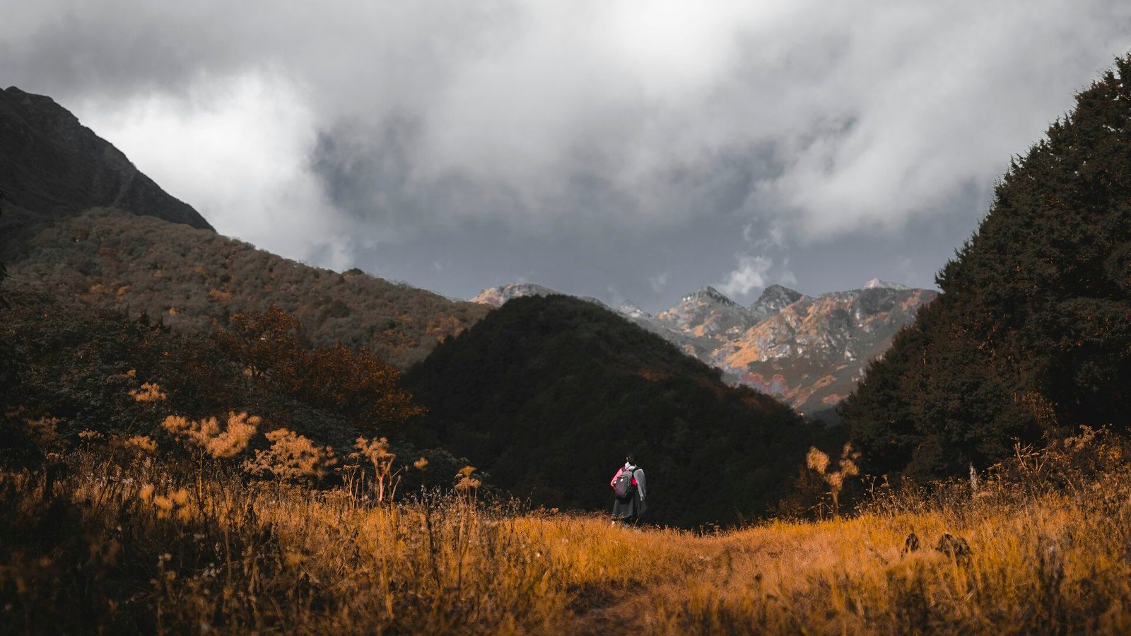 Merak & Sakteng Trek