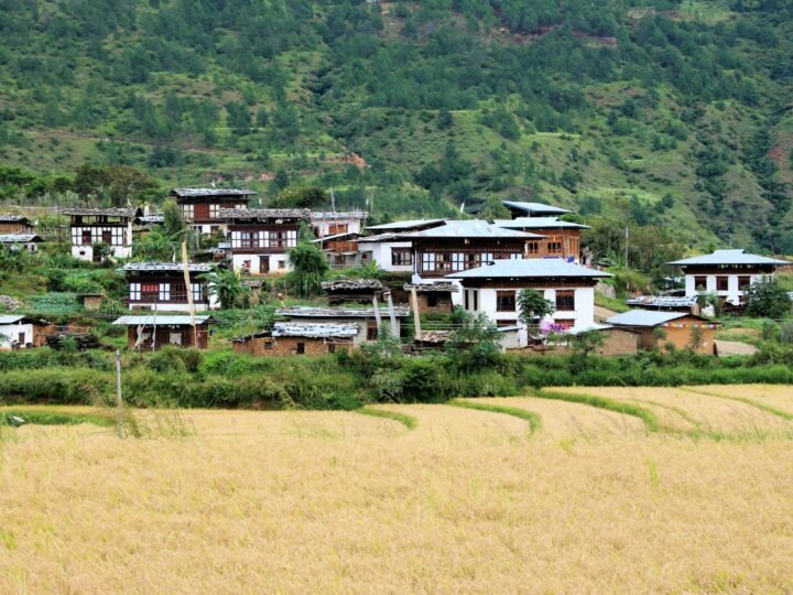 Kabesa Rice Farm Homestay